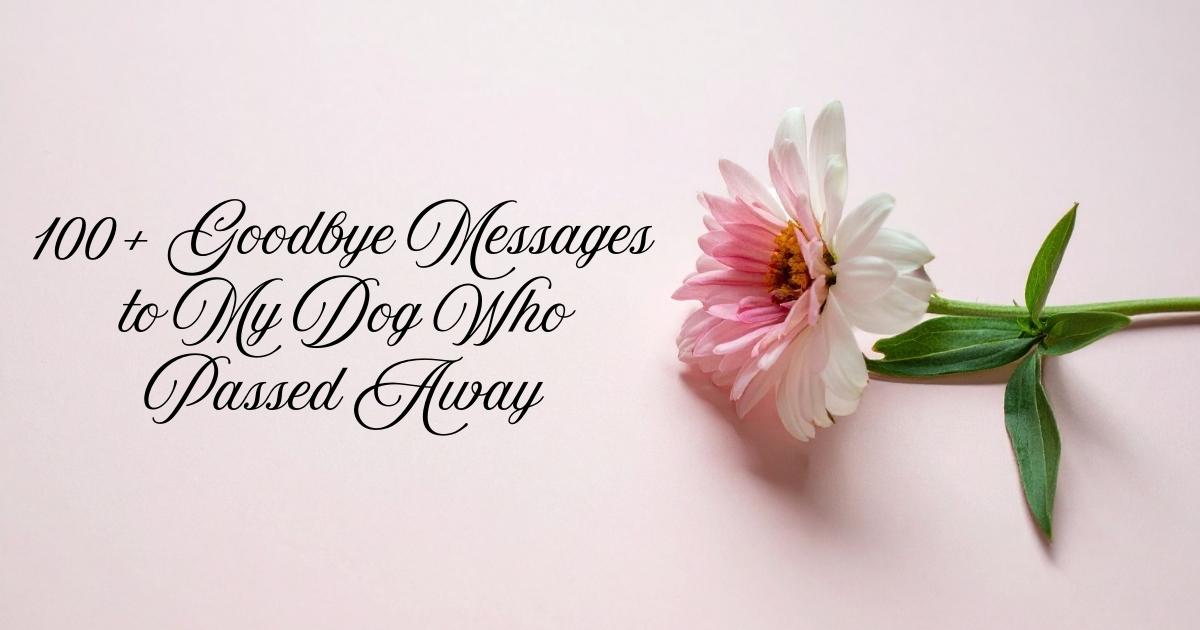 Goodbye Messages to My Dog Who Passed Away