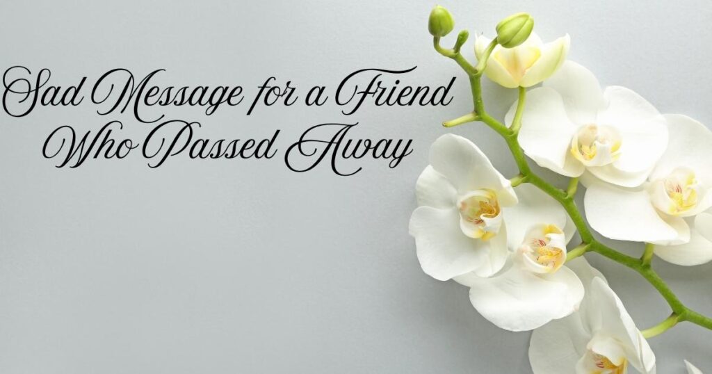 Sad Message for a Friend Who Passed Away