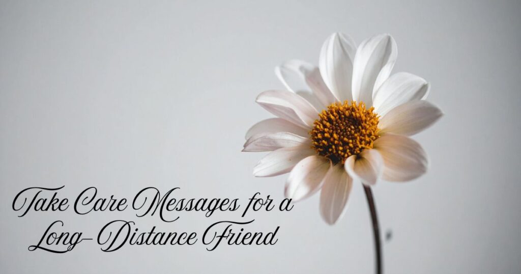 Take Care Messages for a Long-Distance Friend
