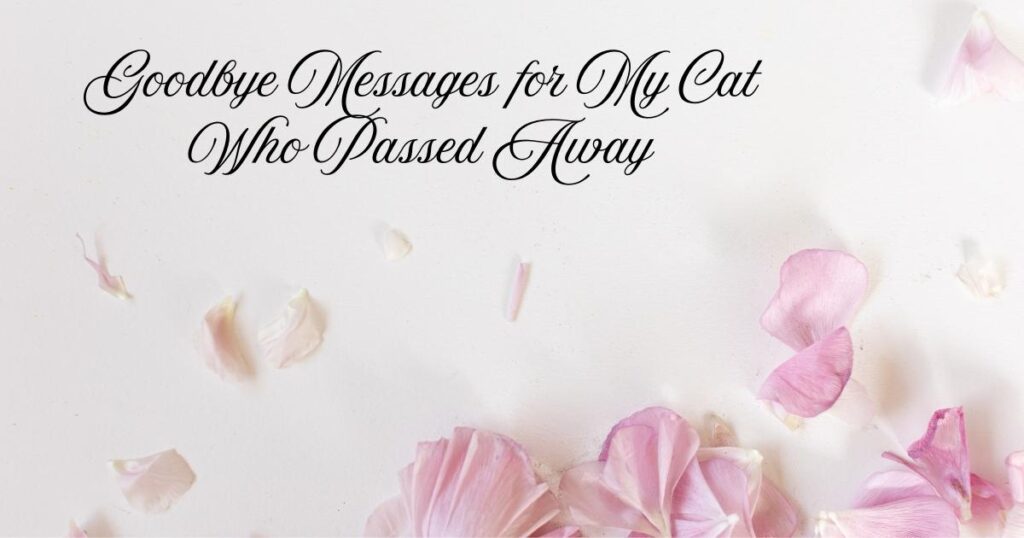 Goodbye Messages for My Cat Who Passed Away