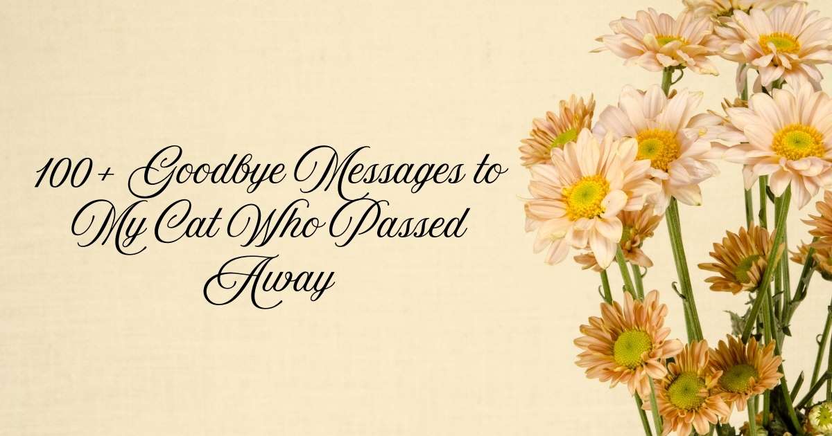 Goodbye Messages to My Cat Who Passed Away