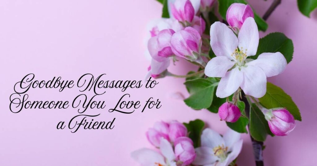 Goodbye Messages to Someone You Love for a Friend