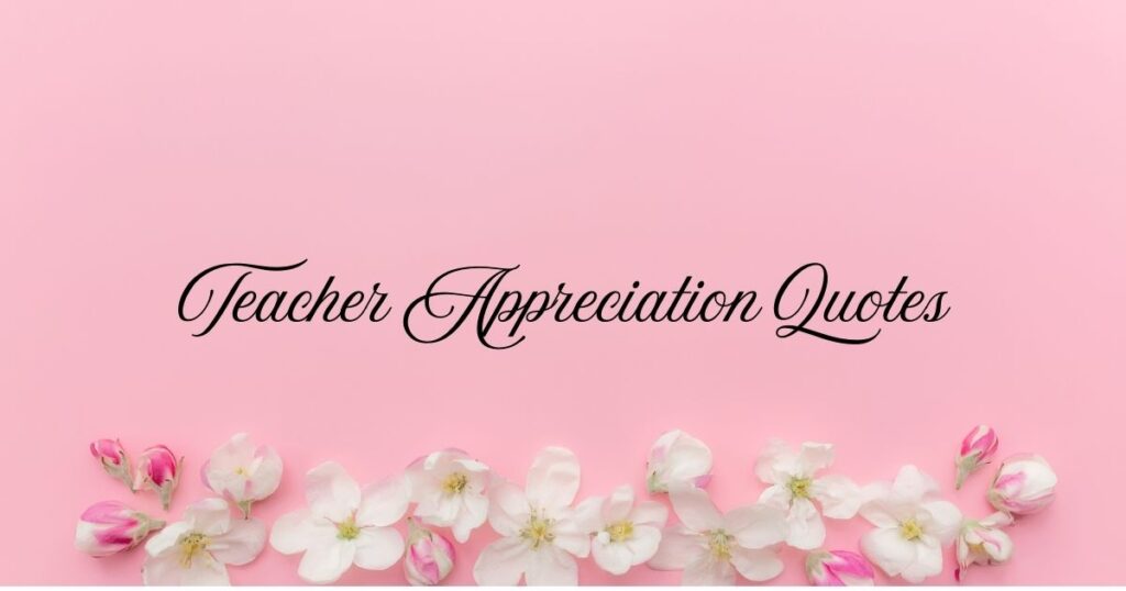 Teacher Appreciation Quotes