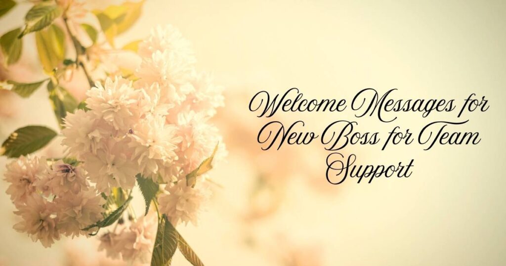 Welcome Messages for New Boss for Team Support