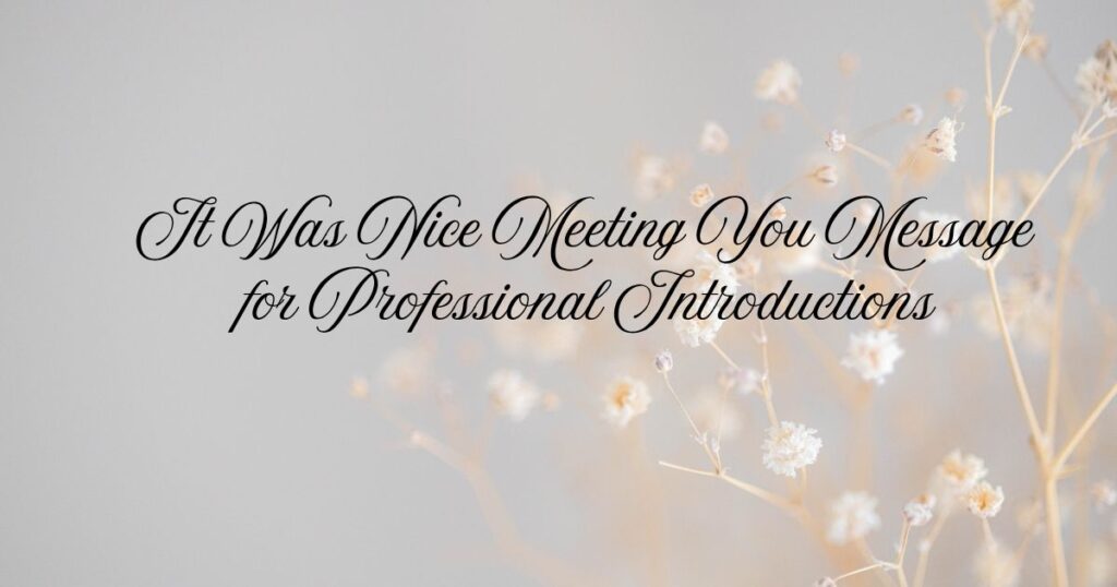 It Was Nice Meeting You Message for Professional Introductions